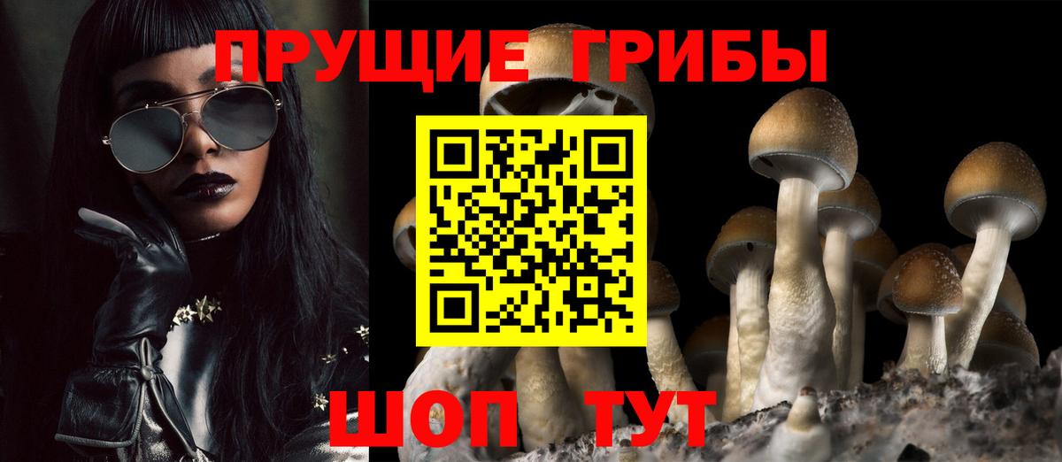 Бугульма  Галлюциногенные грибы Cubensis  Вход с VPN  Галлюциногенные грибы мицелий 